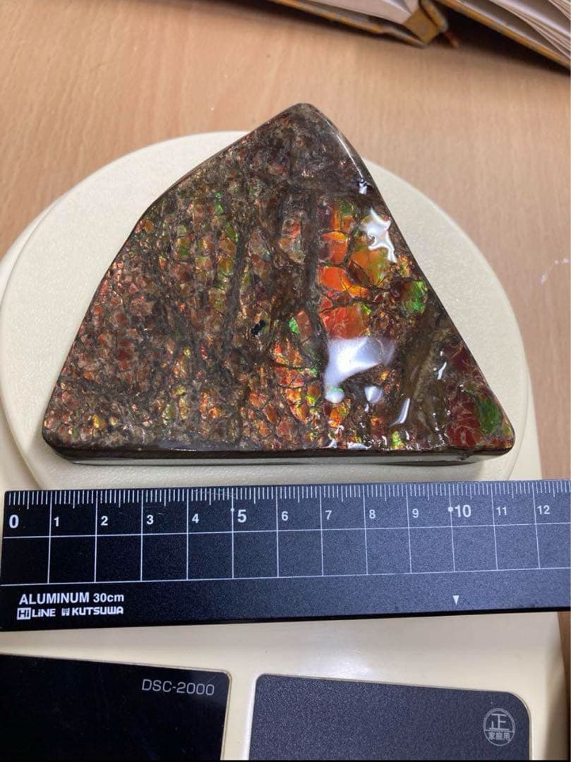 アンモライト 化石 アンモナイト 宝石 原石 大サイズ ドラゴンスキン 博物館