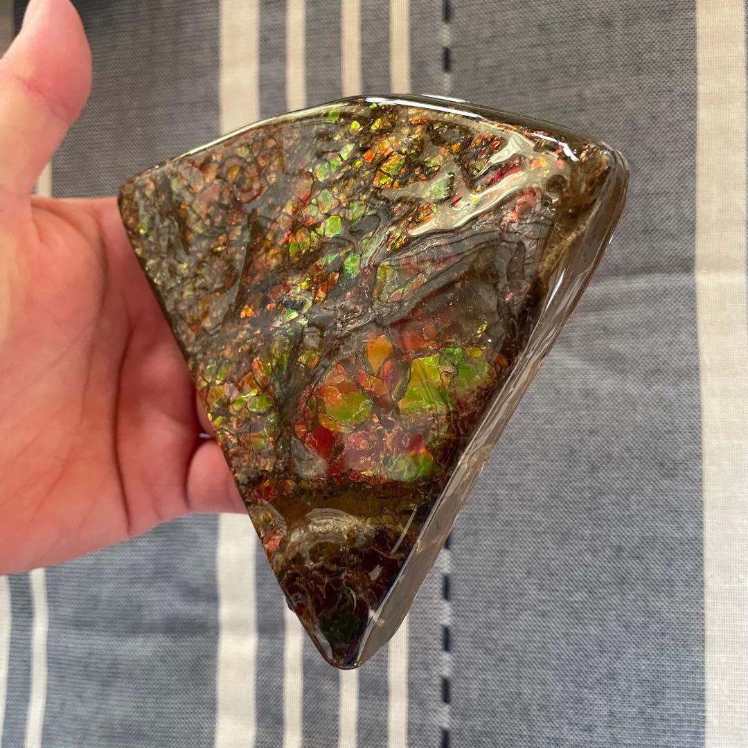 アンモライト 化石 アンモナイト 宝石 原石 大サイズ ドラゴンスキン 博物館