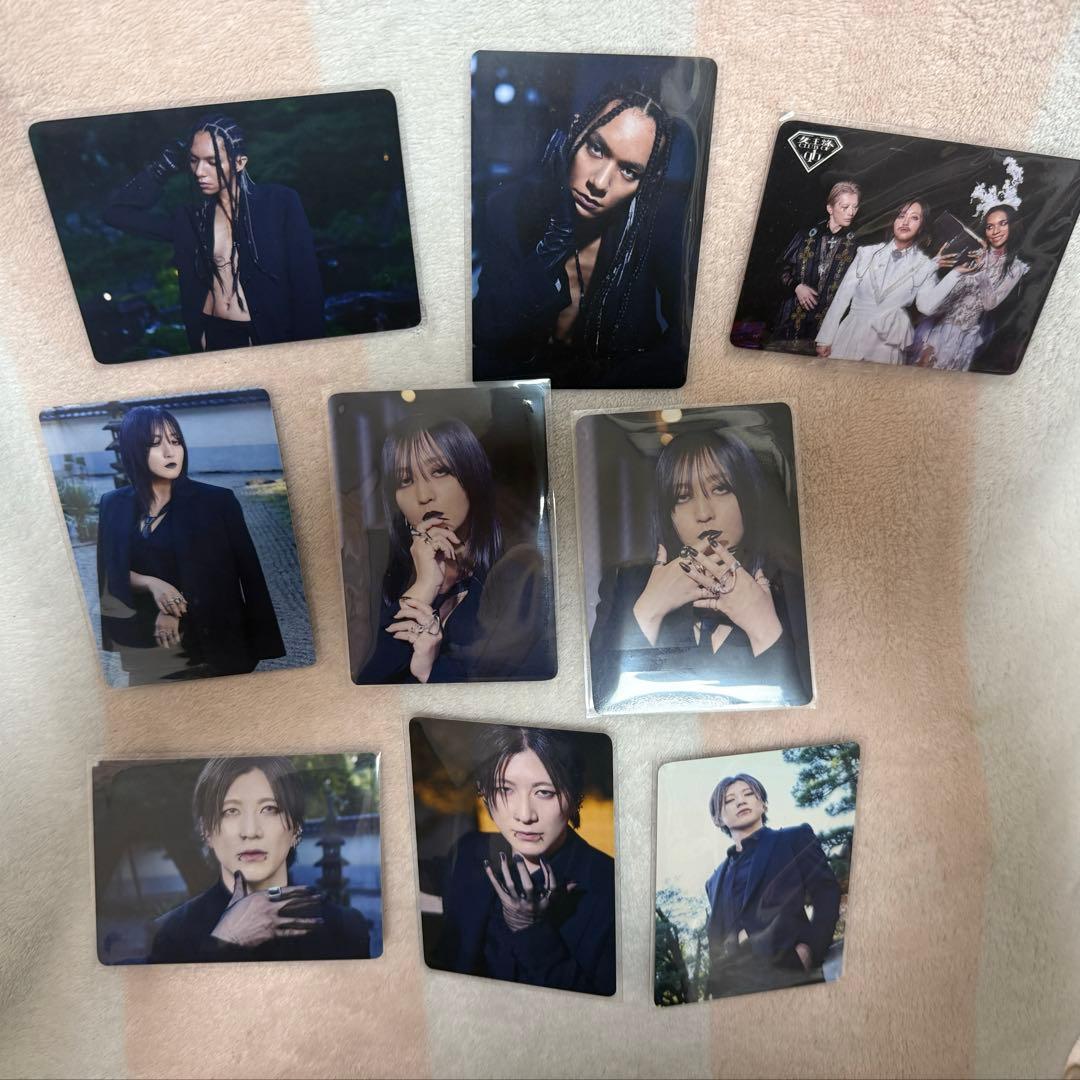 女王蜂　蜂戯王ファイル　#4-#18まとめ売り