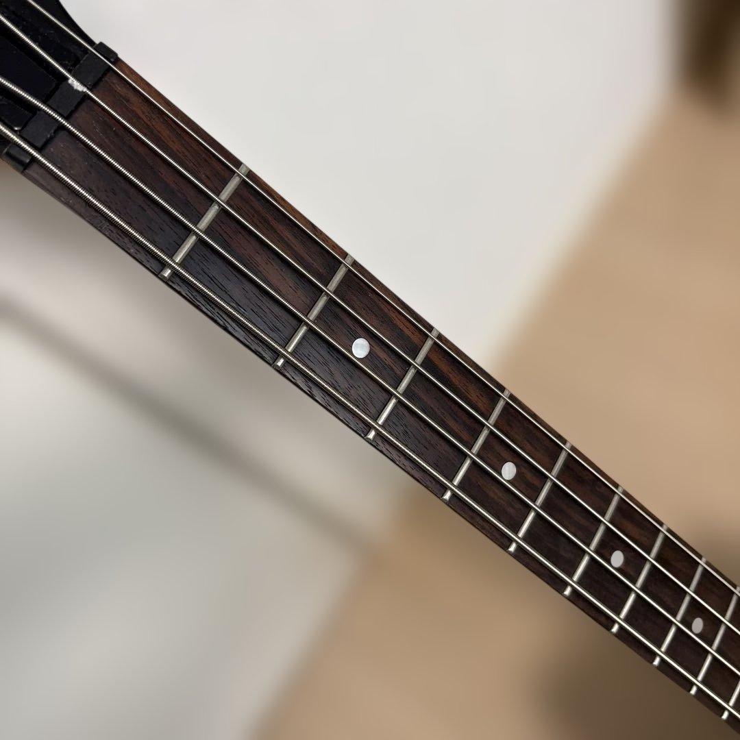 ピグノーズ　PGB-200 アンプ内蔵ベース