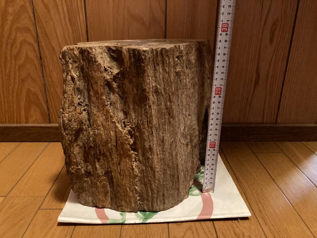 木化石　ブラジル産　30Kg弱くらい　珪化木 受け渡しも可能です