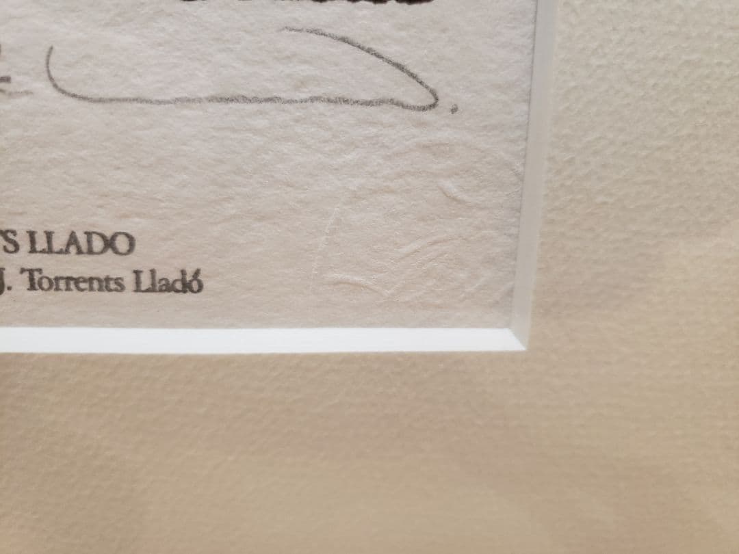 リャド　版画　カロリーナ　アミーゴ嬢