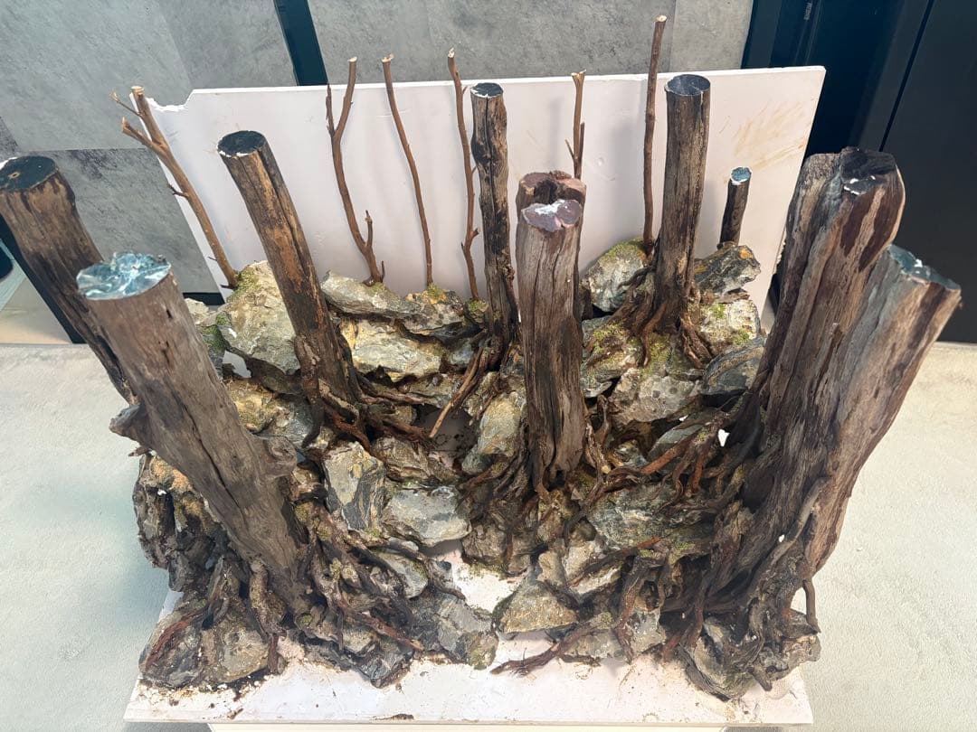 アクアリウム　水槽　レイアウト　流木