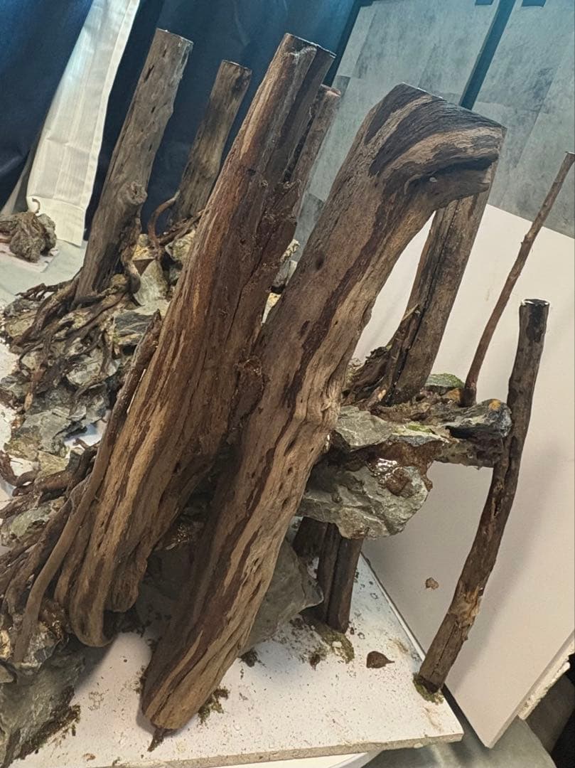 アクアリウム　水槽　レイアウト　流木