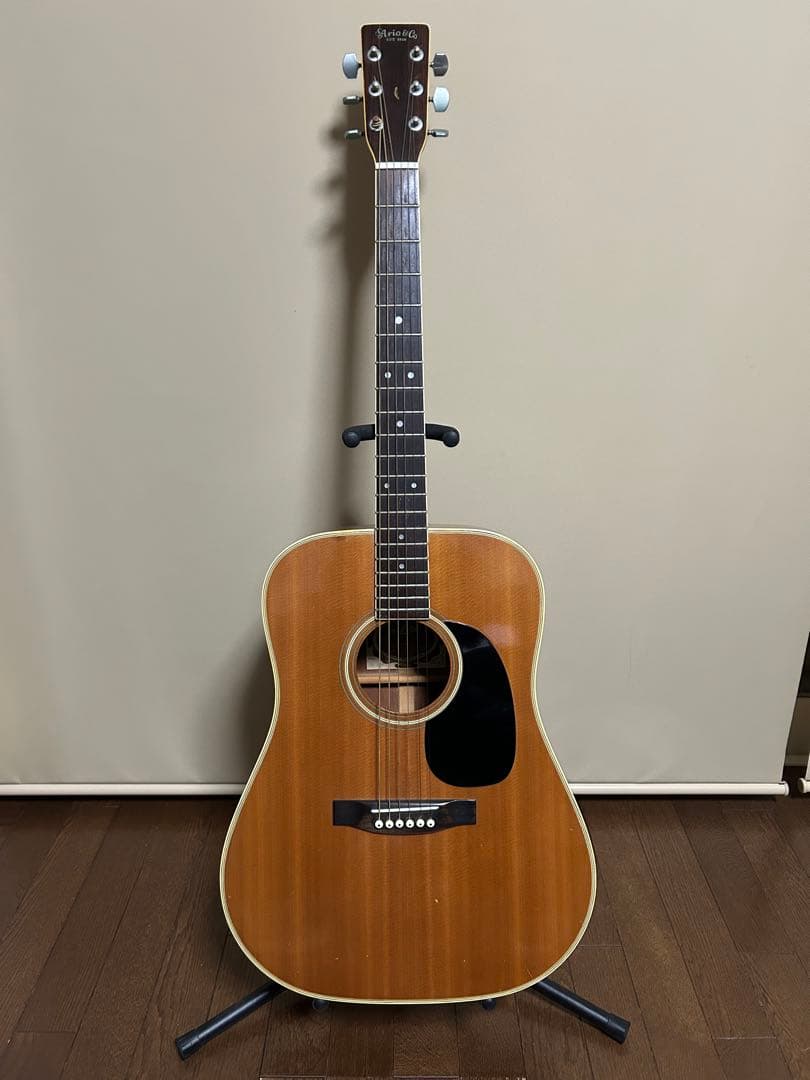 Aria W-200 アコースティックギター アコギ