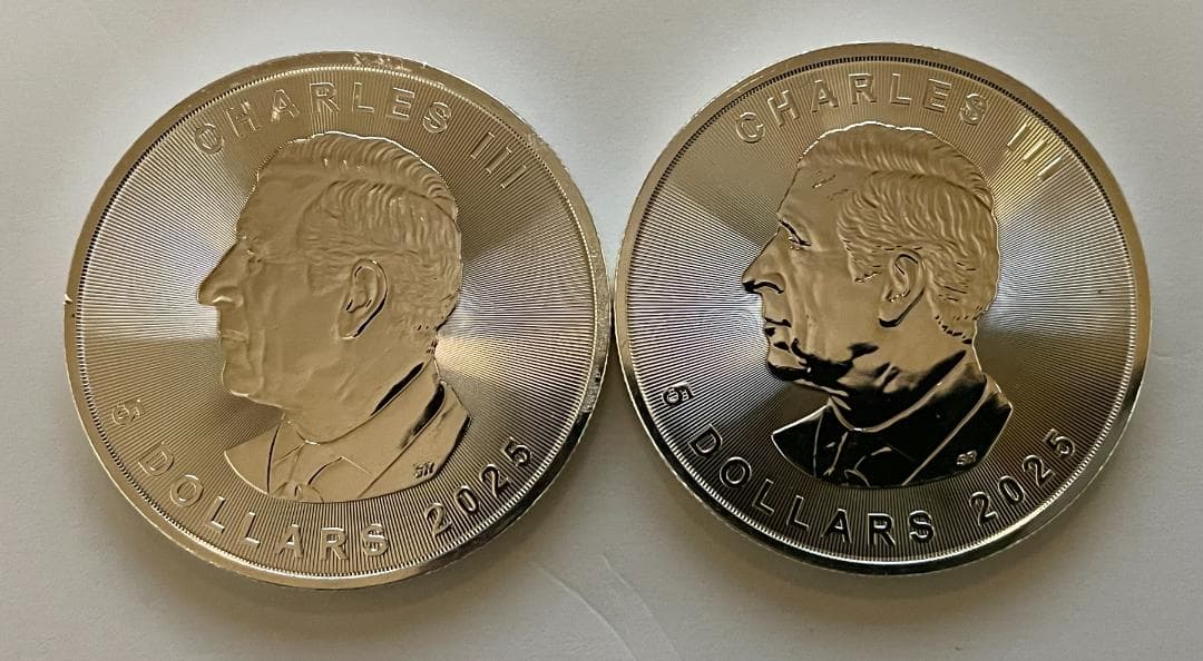 2025年カナダ1オンスメープルリーフ銀貨 (2枚セット)