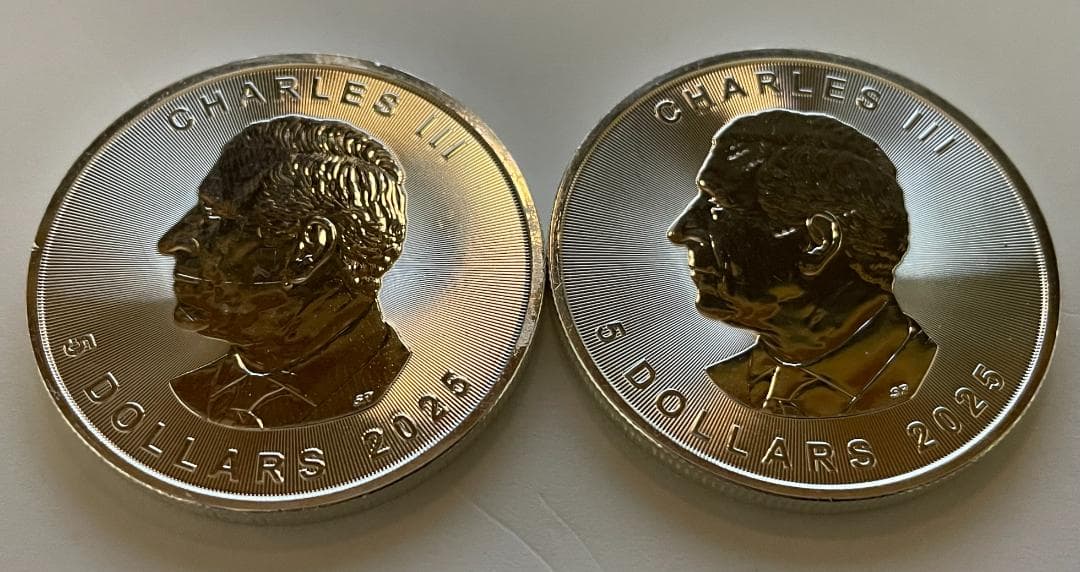 2025年カナダ1オンスメープルリーフ銀貨 (2枚セット)