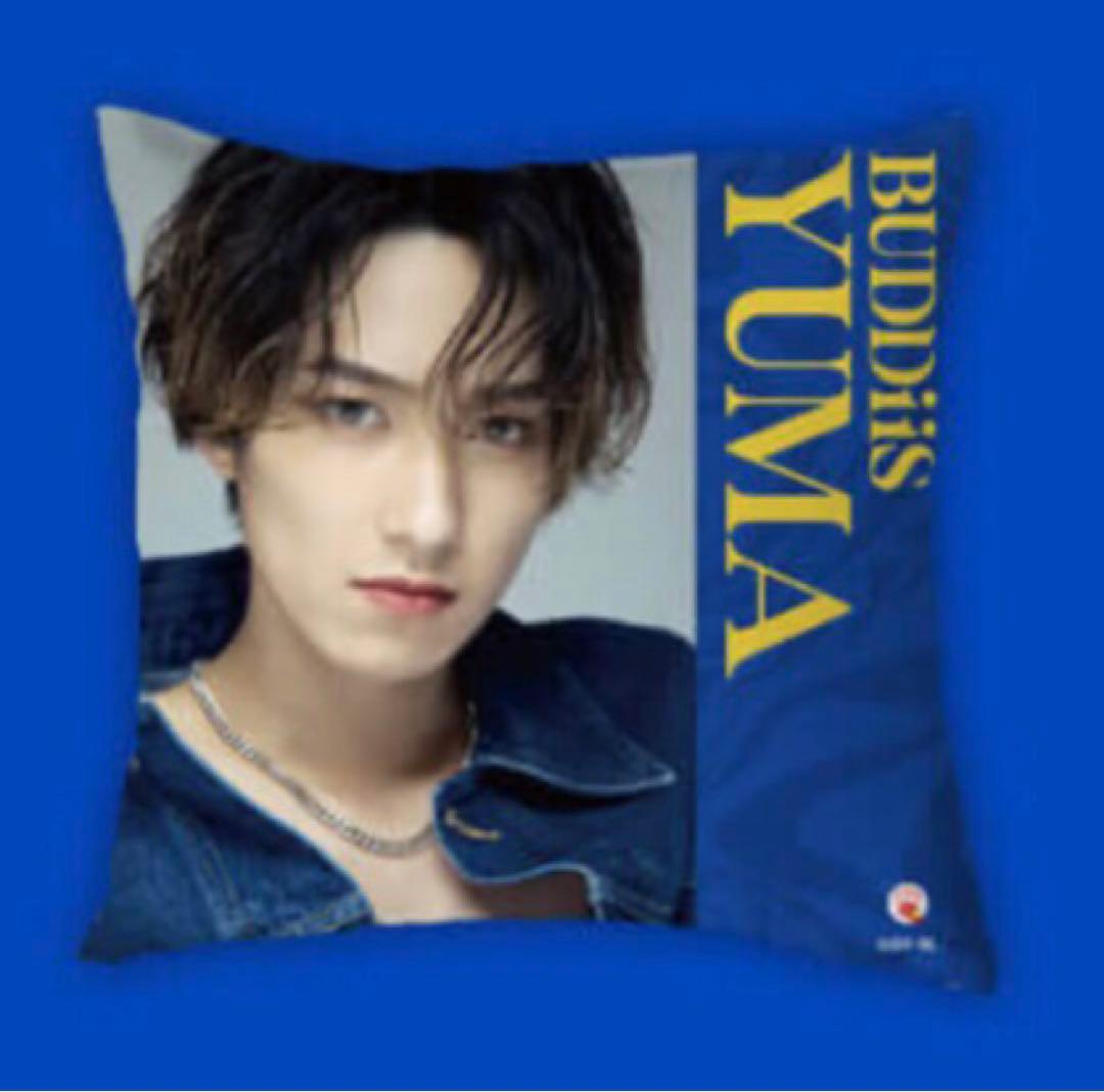 ★BUDDiiS★限定 オリジナルコラボグッズ クッション 全9種コンプセット