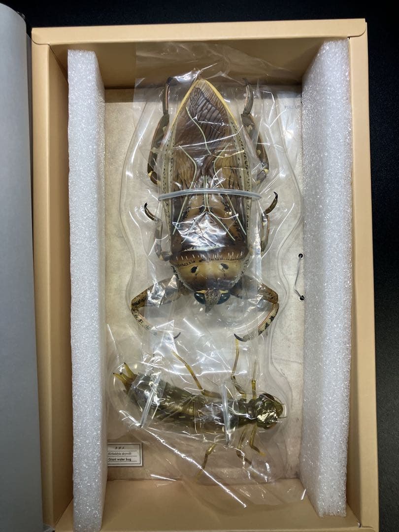 希少　海洋堂　リボジオ　タガメ