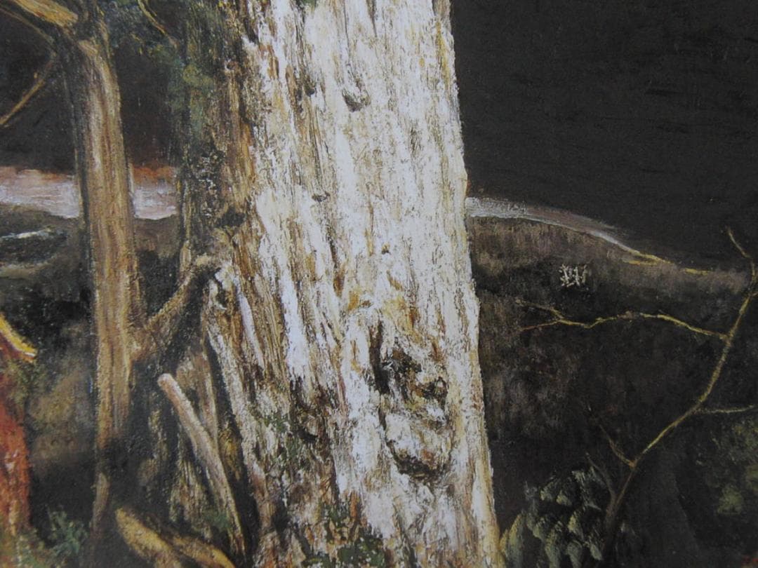 京田徹夫、【3000年の生命（紀元杉）】、希少な額装用画集より