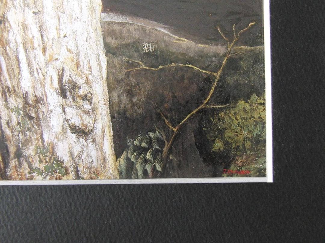 京田徹夫、【3000年の生命（紀元杉）】、希少な額装用画集より