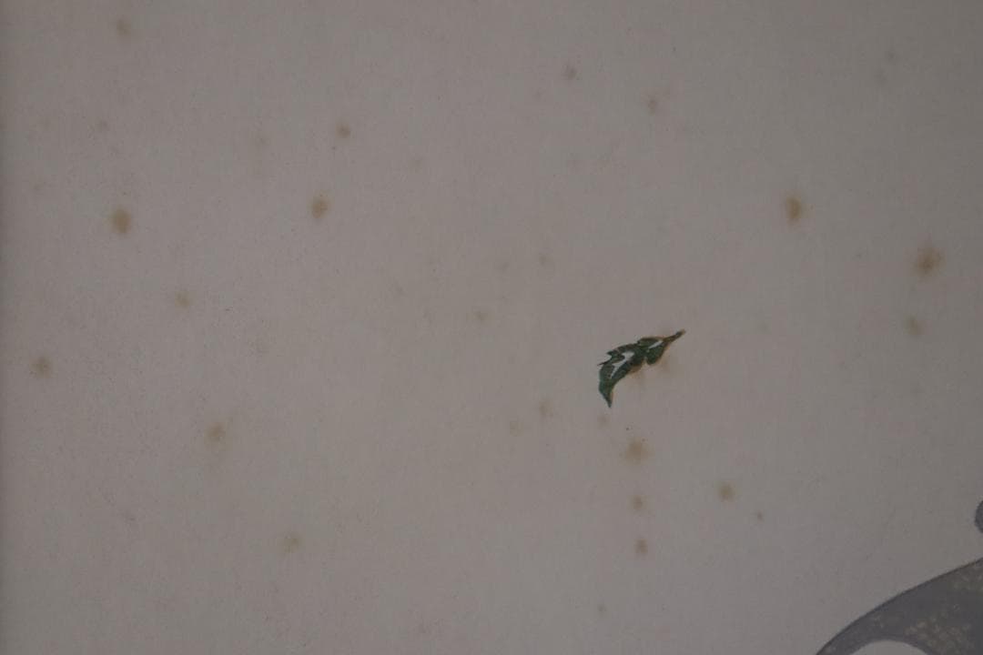 真作保証 中島潔 「ゆらめき」 木版画 直筆サイン有 儚げな女性画 人気作品