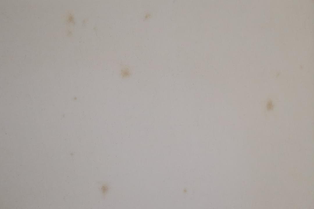 真作保証 中島潔 「ゆらめき」 木版画 直筆サイン有 儚げな女性画 人気作品