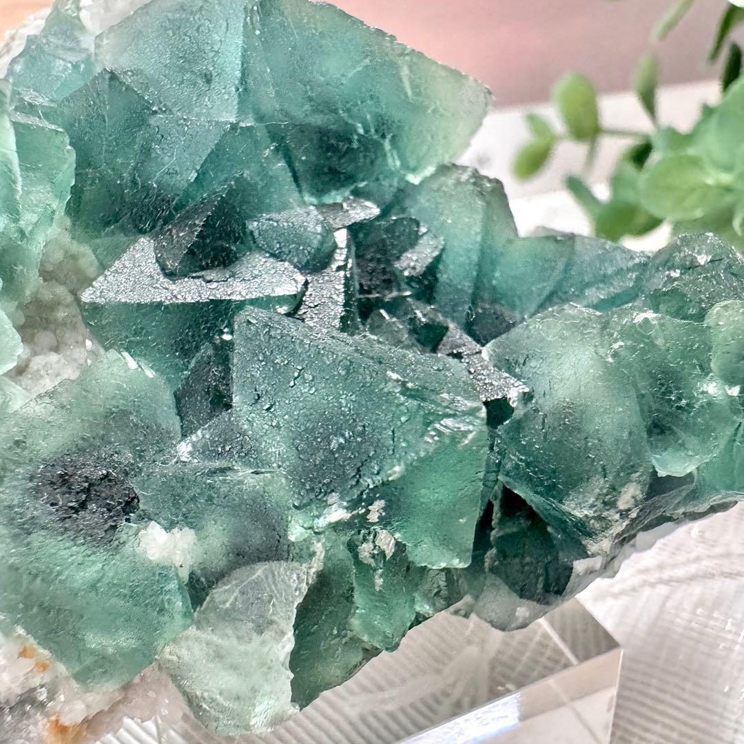 【D256】八面体 グリーンフローライト 内モンゴル 鉱物 標本