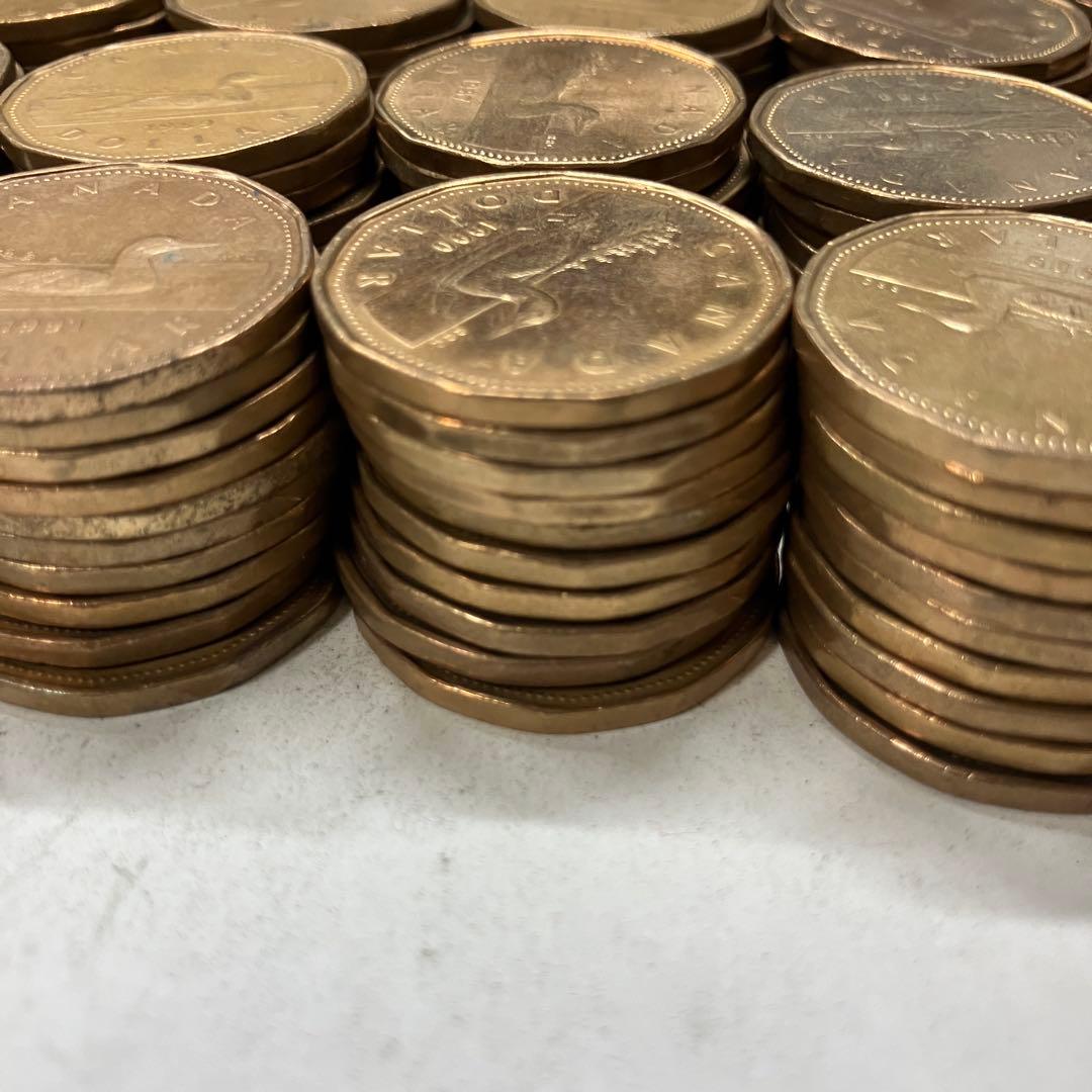 カナダ　1ドル　　硬貨　まとめ売り