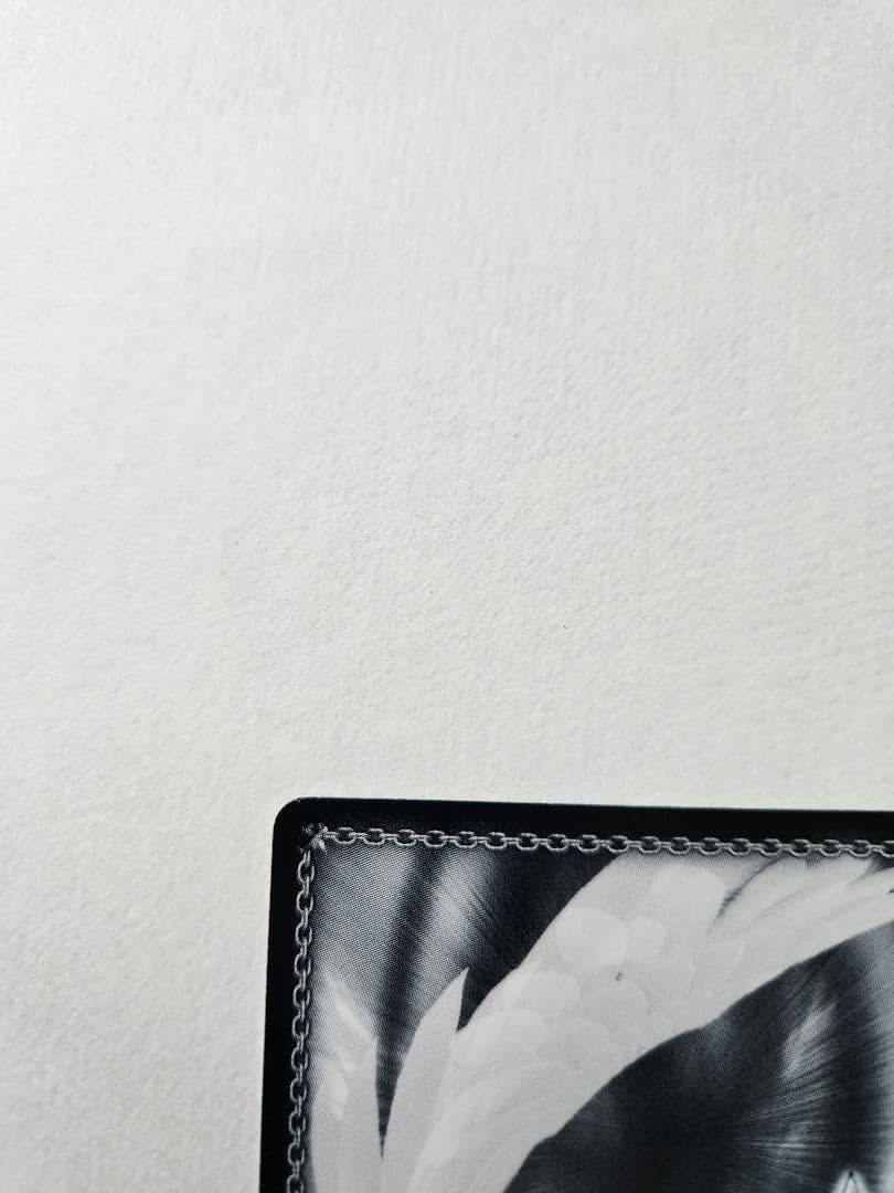 ヴァイスシュヴァルツ　多彩な魅力 中野 四葉　サイン　SSP