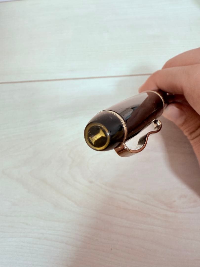 SAILOR セーラー 万年筆 ブラックペン先21K　H‐M