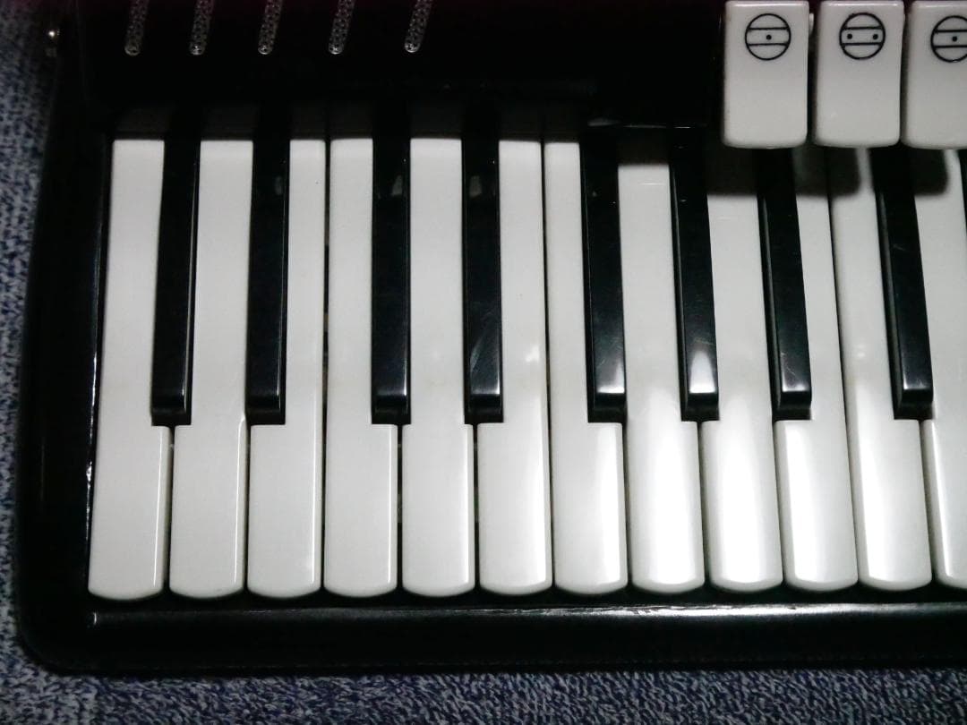 YAMAHA ヤマハ アコーディオン 48ベース キャリングケース付き