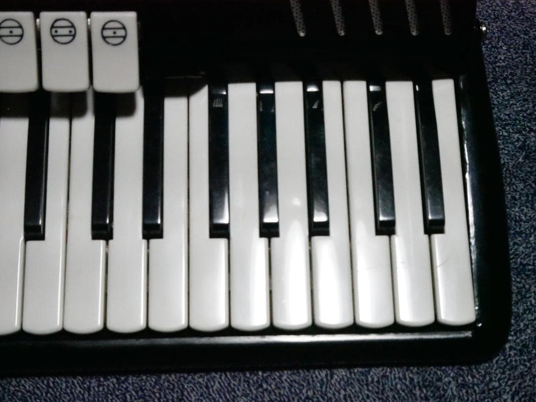 YAMAHA ヤマハ アコーディオン 48ベース キャリングケース付き