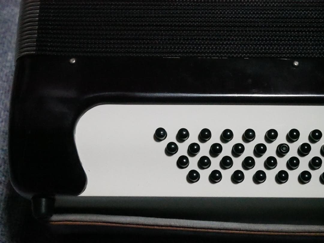 YAMAHA ヤマハ アコーディオン 48ベース キャリングケース付き