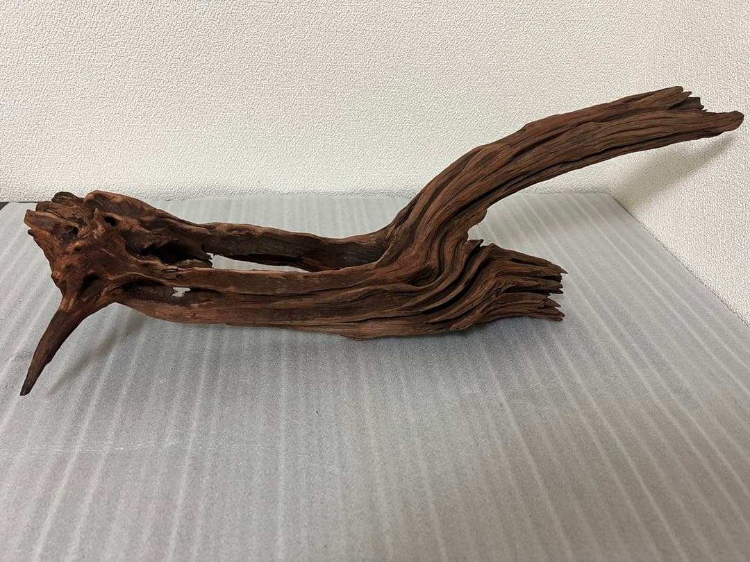 HX-081 流木　ホーンウッド　マシンガンウッド　アクアリウム　ブランチウッド