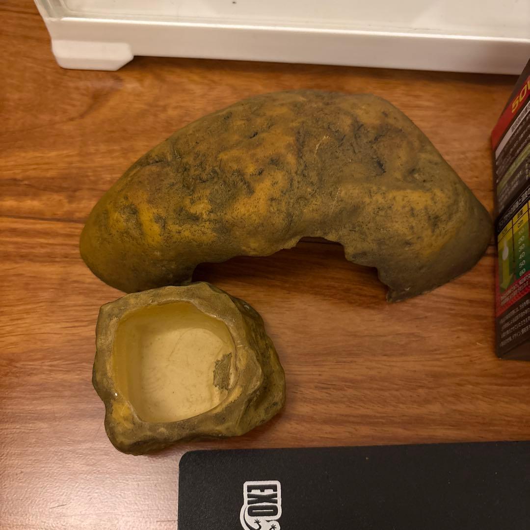 両生類飼育セット