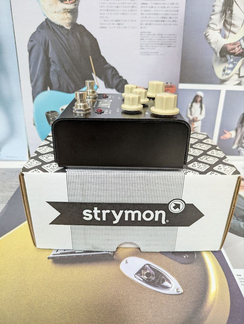 【美品】国内正規品 strymon FLINT V1トレモロ&リバーブ