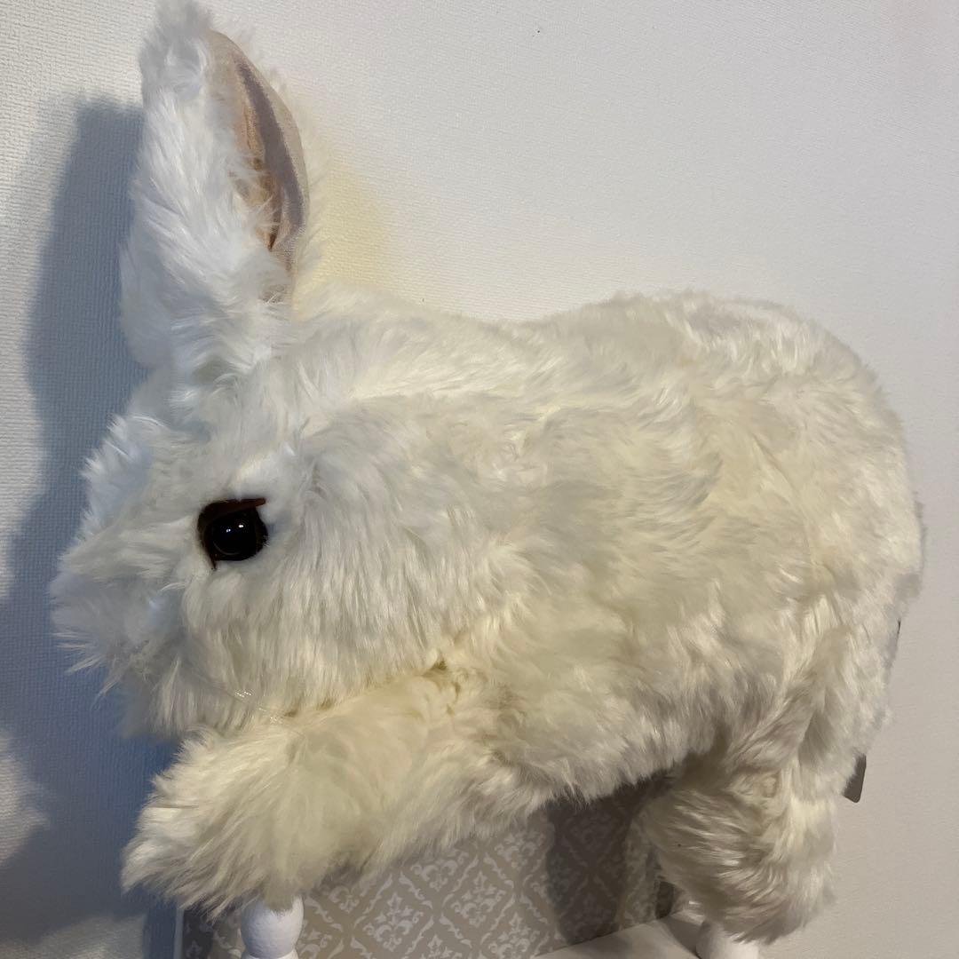 DITZ　ウサギ　ぬいぐるみ　大きい　リアル　新品　タグ付　ハルモニア　ラビット