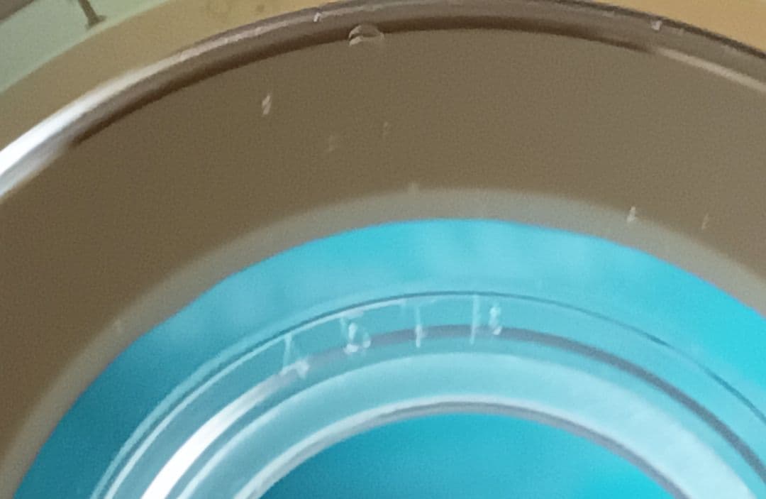 【正規品】 Man 素顔4 Man盤 DVD