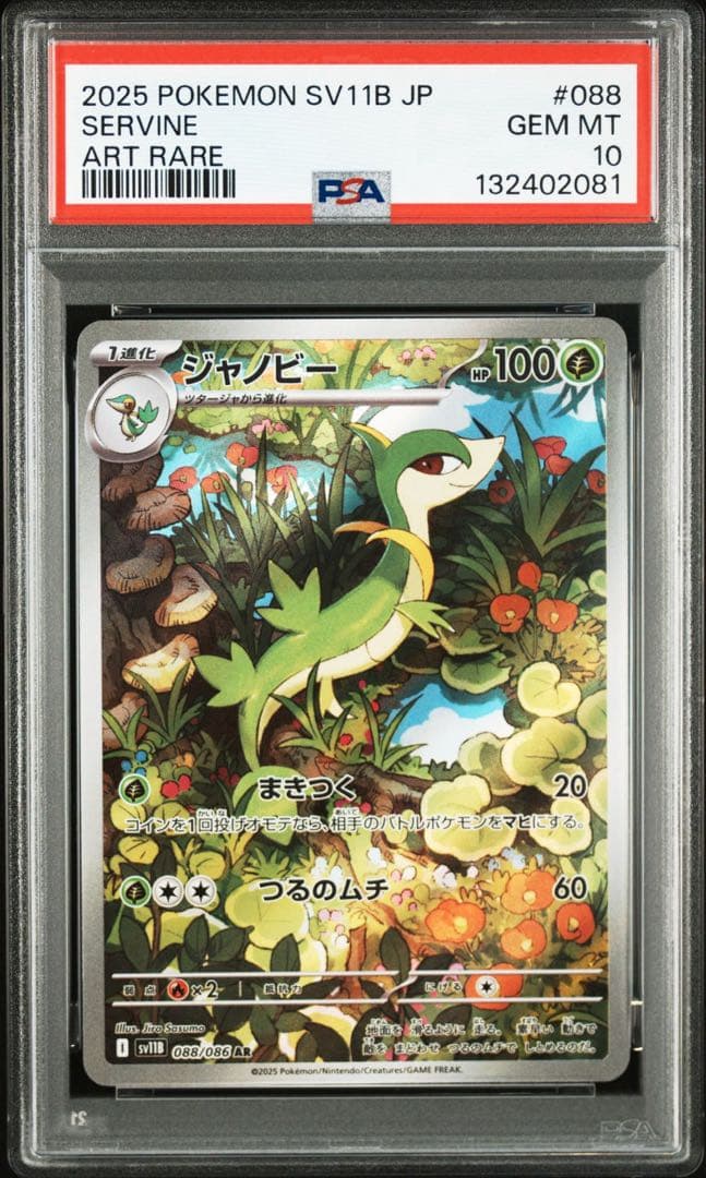 【PSA10】ポケモンカード　ジャローダex SAR ツタージャ　ジャノビー
