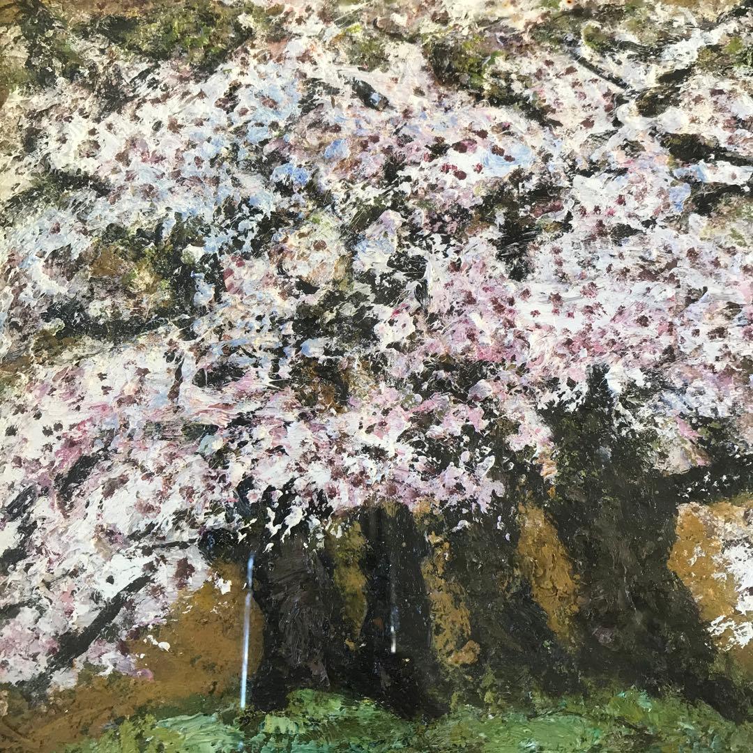 荒井慧「さくら」油彩 F4 額装 春 桜 油絵 油画 絵画 D