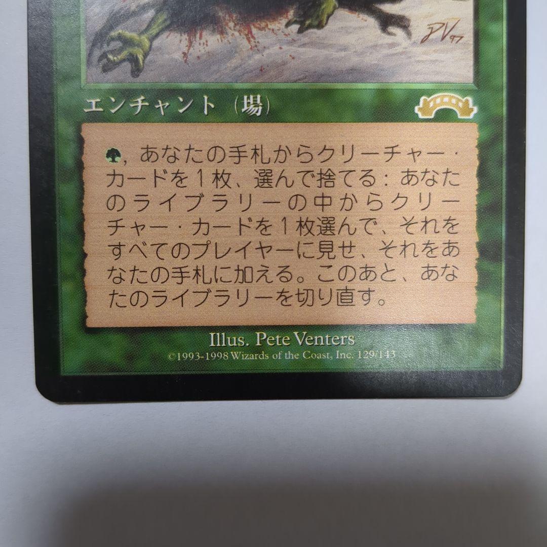 MTG 適者生存（２枚セット）　英語版２枚