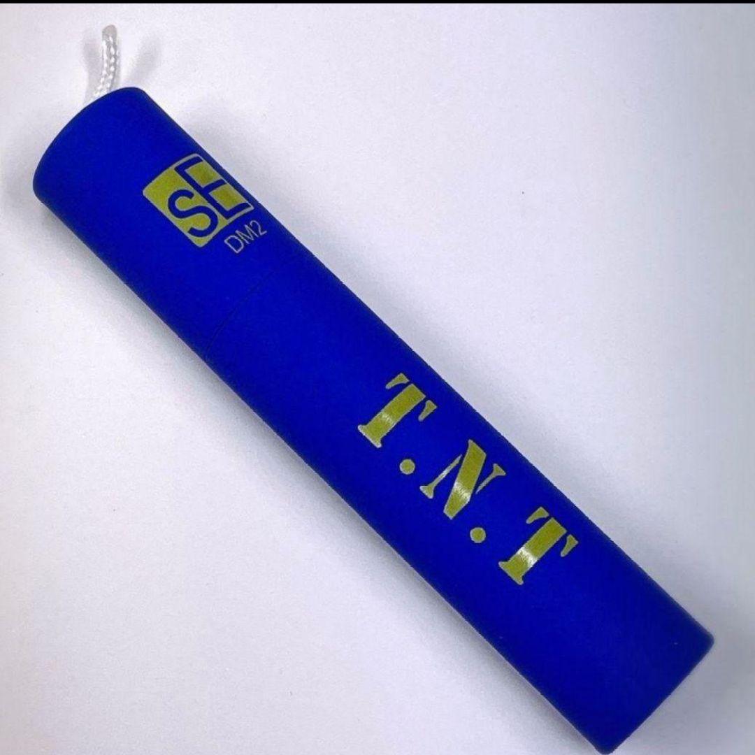 新品　送料無料　sE ELECTRONICS DM2 T.N.T DM2シリーズ