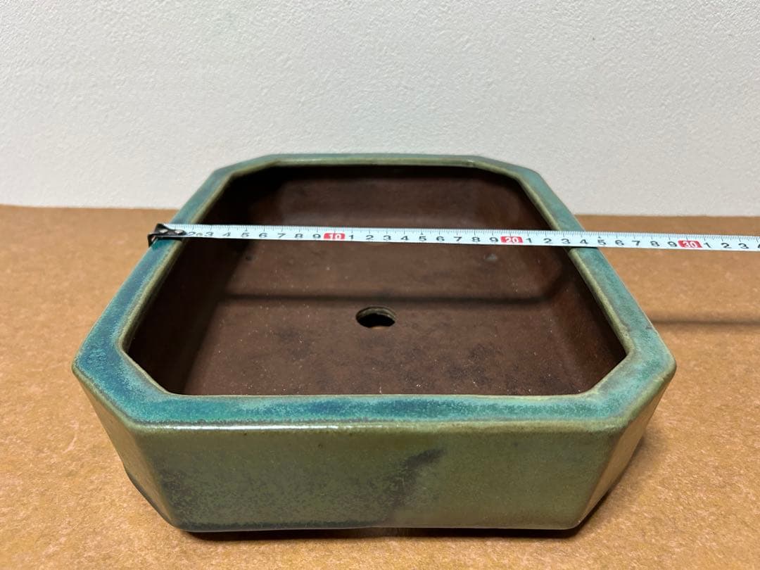 山秋　盆栽鉢　小品盆栽　山野草