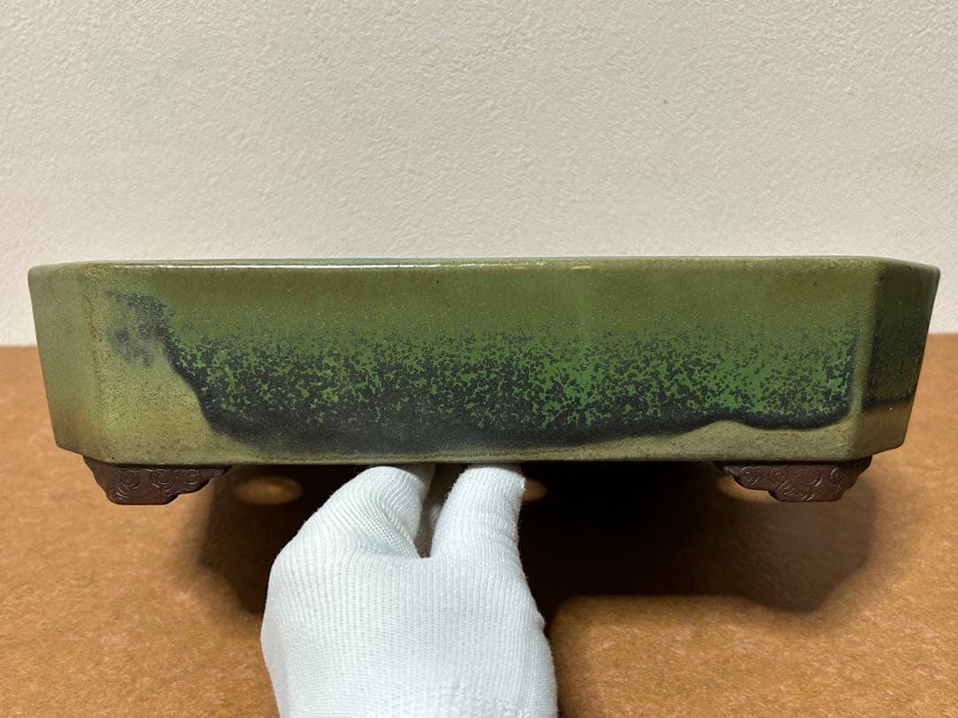 山秋　盆栽鉢　小品盆栽　山野草