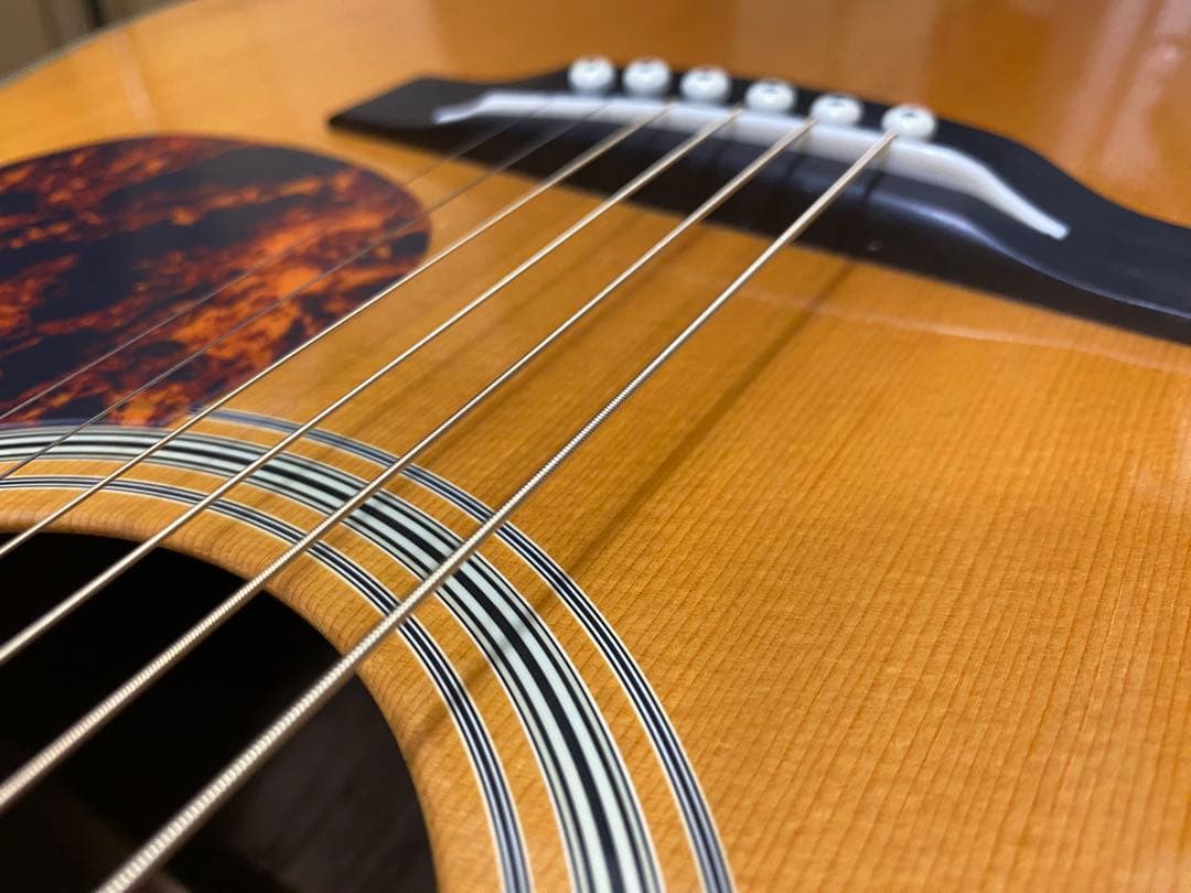 アコースティックギター　cat's eyes