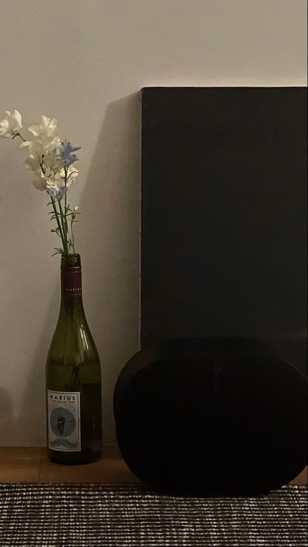 Sonos Era 300 ブラック