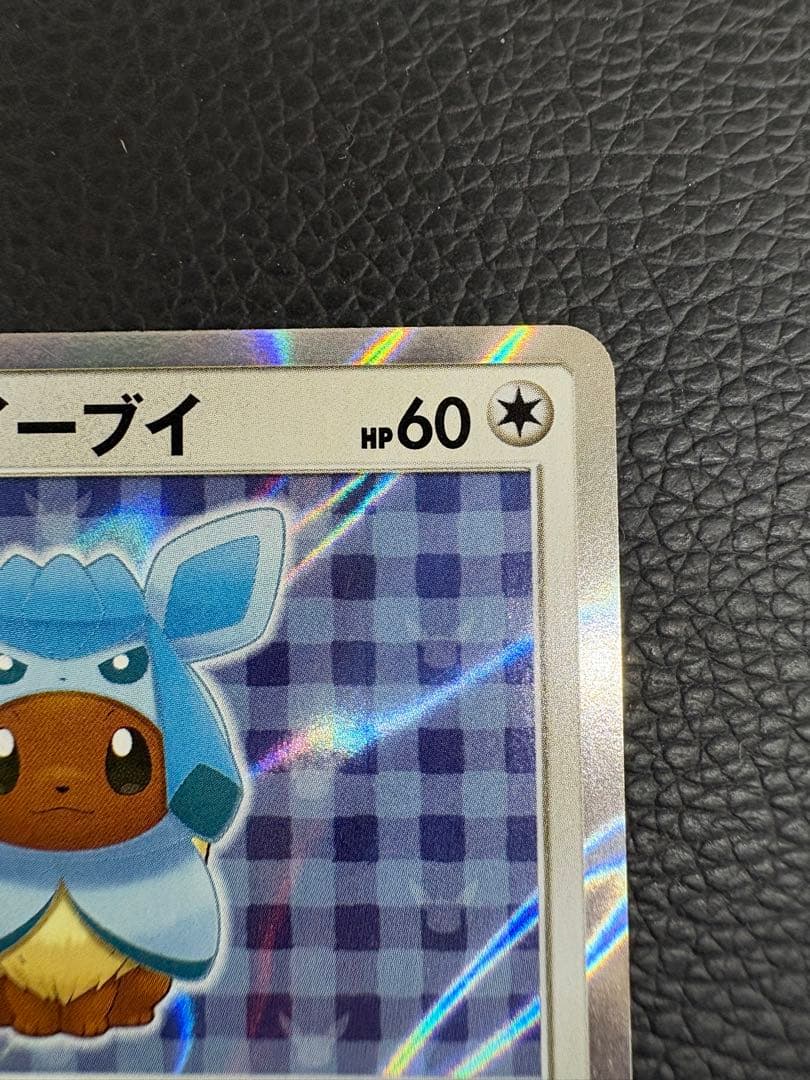 ポンチョを着たイーブイ