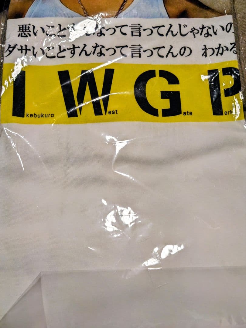 【未開封品】MLE×I.W.G.P Tシャツ 窪塚洋介 池袋ウエストゲートパーク