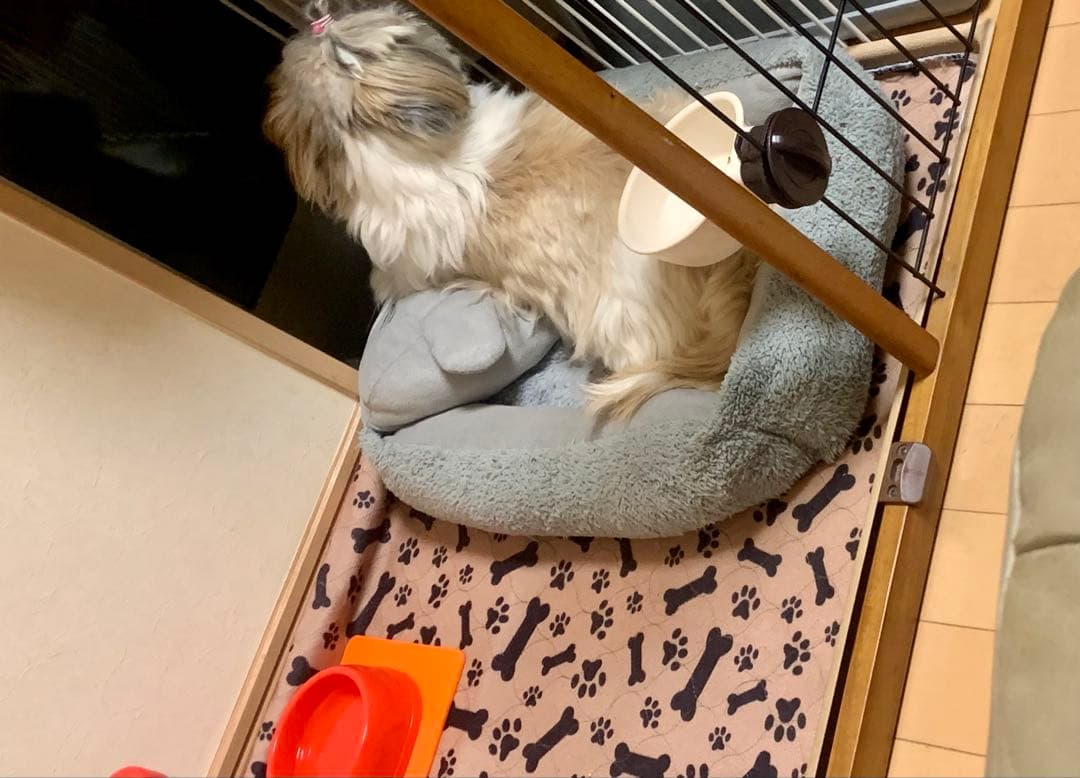 リッチェル　木製置くだけドア付きゲートL