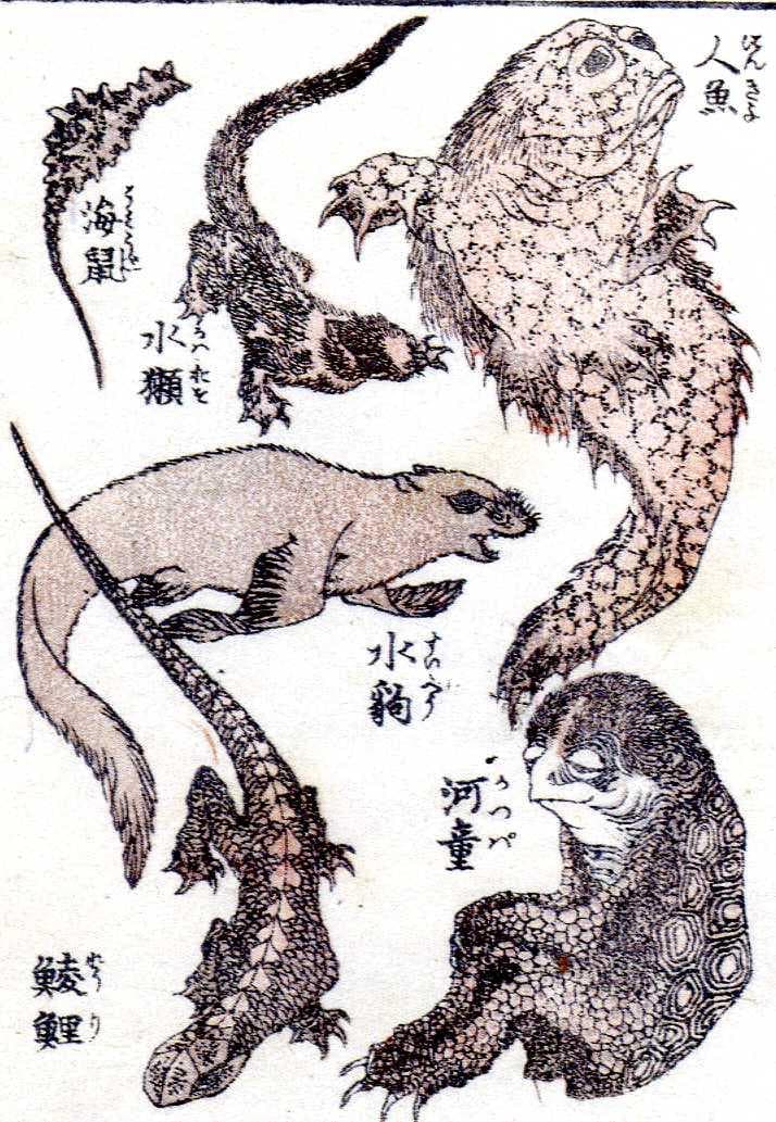 浮世絵 妖怪 図録 がしゃどくろ　猫又　ぬえ　九尾の狐　河童　人魚　など百数十点