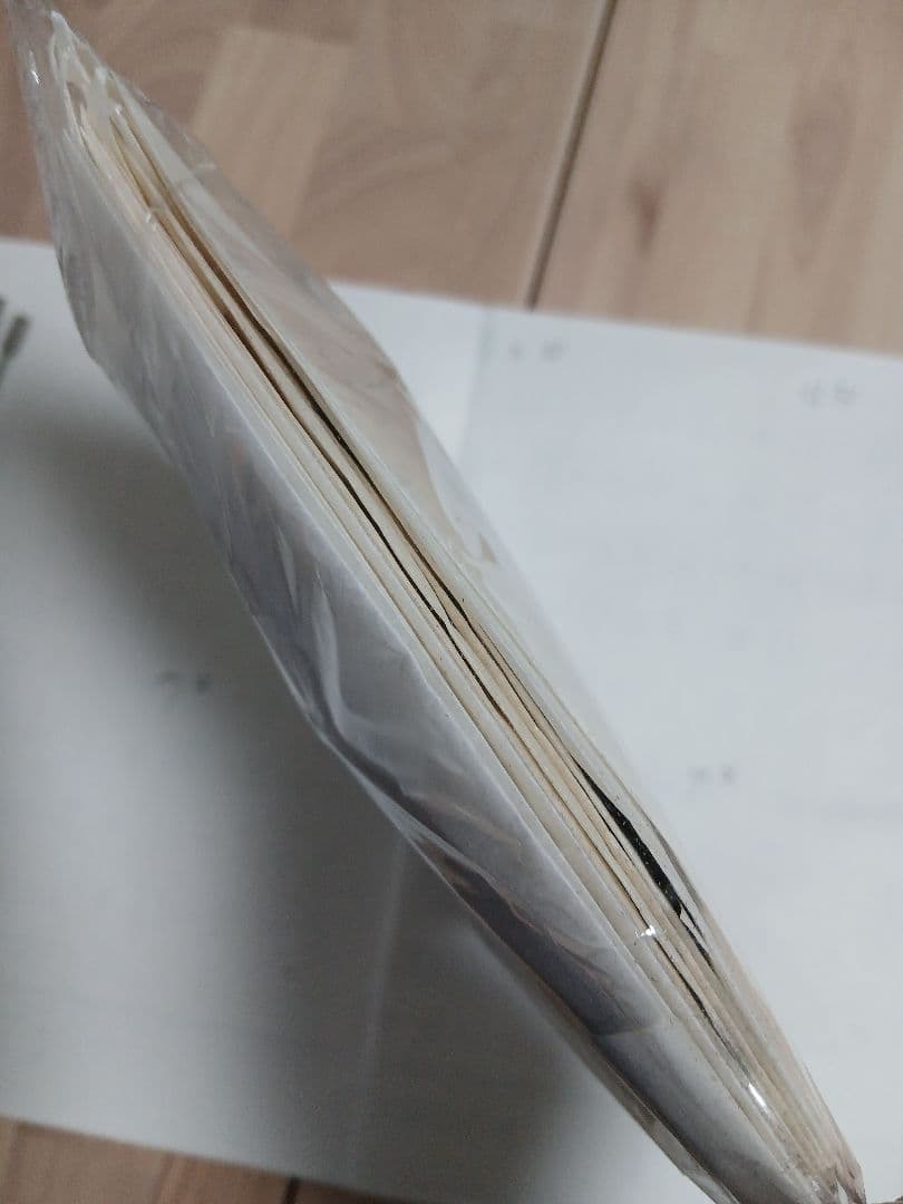 ペルー産・オオモルフォ（実物写真）A-