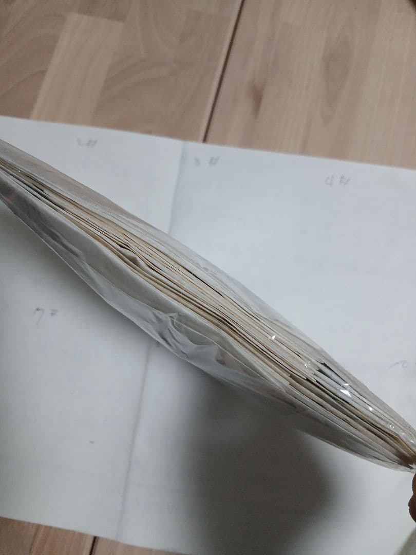 ペルー産・オオモルフォ（実物写真）A-