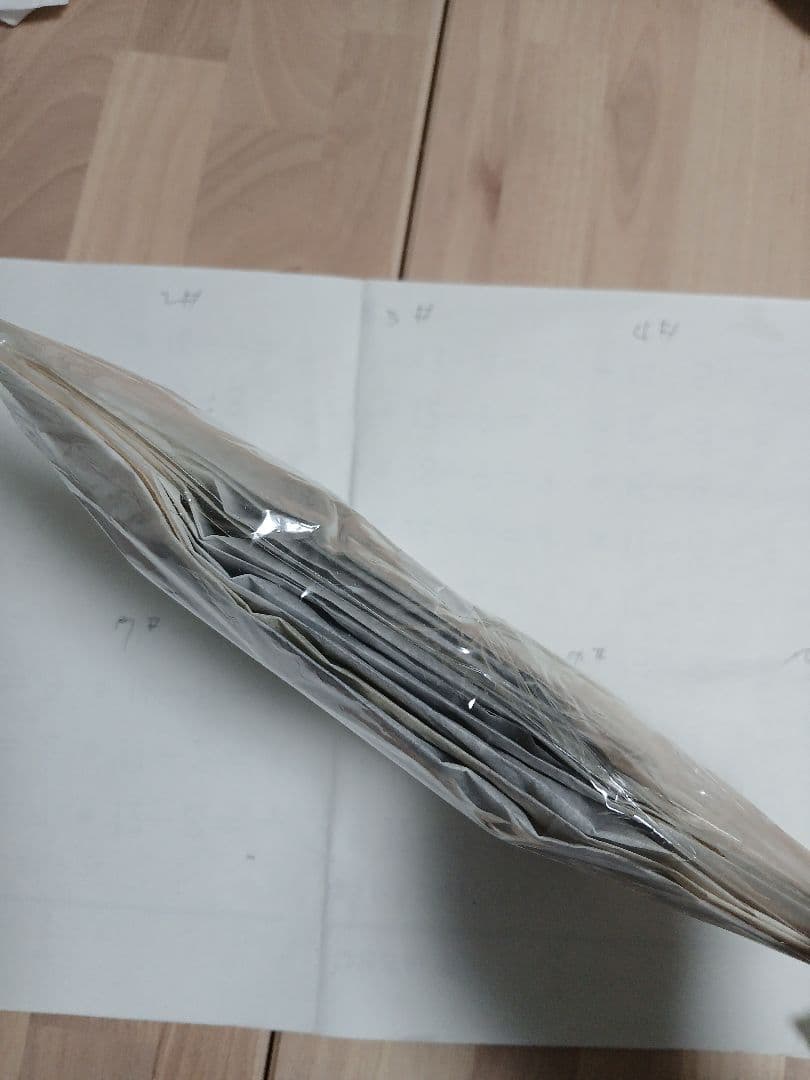 ペルー産・オオモルフォ（実物写真）A-