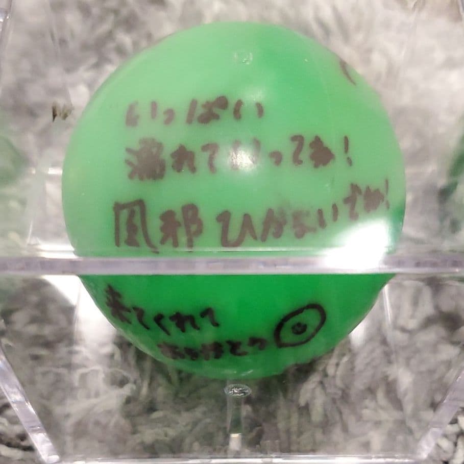 欅坂46 欅共和国2018 長濱ねる サインボール