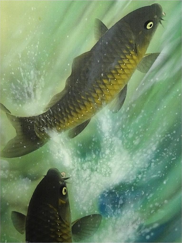 【真作】掛軸 馬堀喜孝『双鯉瀧上り』絹本 共箱 二重箱付 掛け軸 p052810