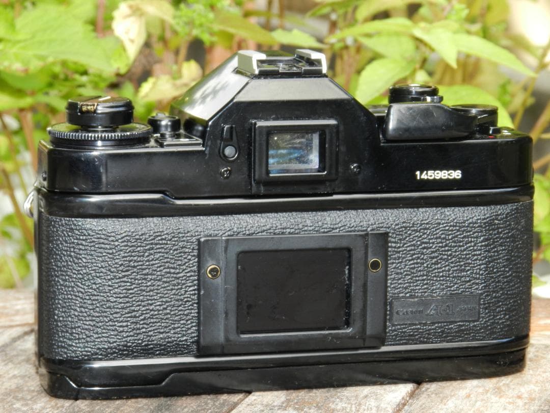 フィルムカメラ aliceCANON A-1 FD 50mm F/1.4 S.S.C