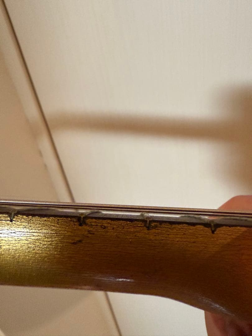 O*a様 Airline bobkat 60年代オリジナル　ビザールギター