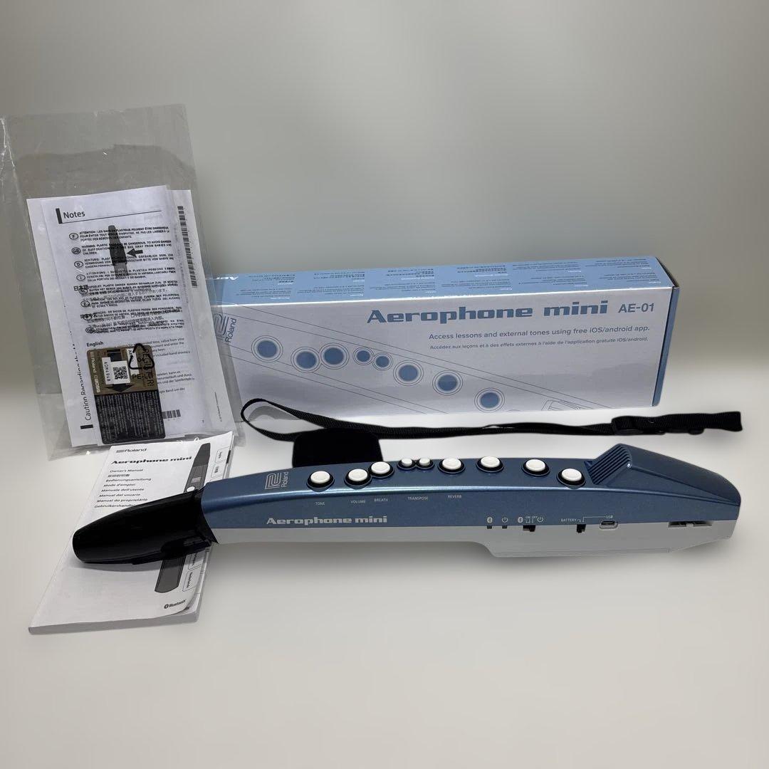 中古美品 Roland エアロフォンミニ AE-01