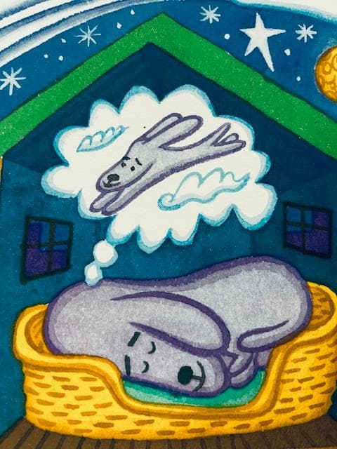 サンダーバニー flying Dream 限定150枚証明書付き/ポスター